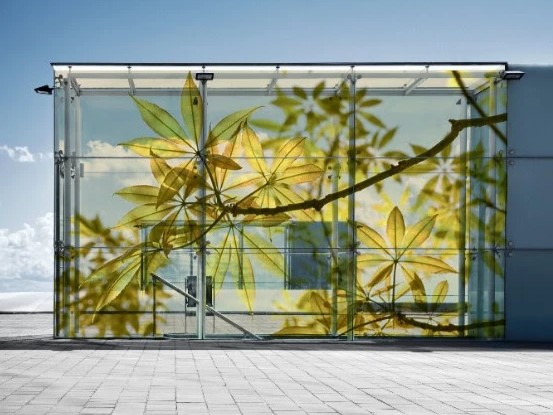 Dijital Baskılı Camlar